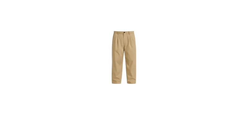 The 25X Men’s Classic Pleated Beige Chino Pants